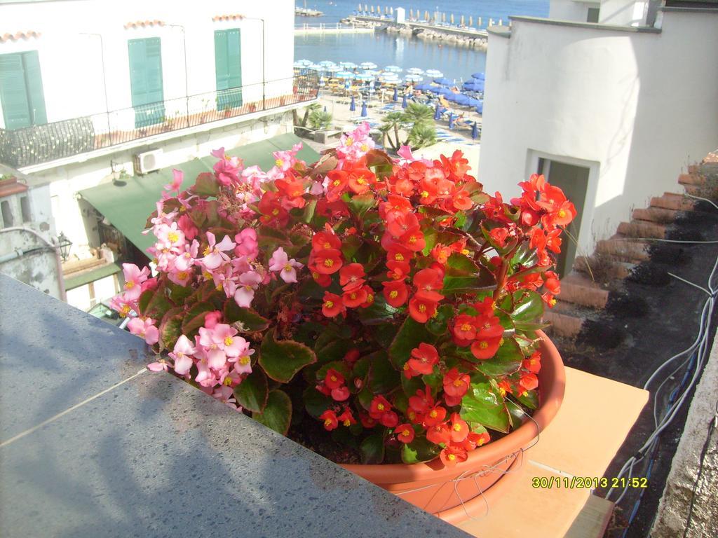 B&B Celestina Ischia Lacco Ameno  Bagian luar foto