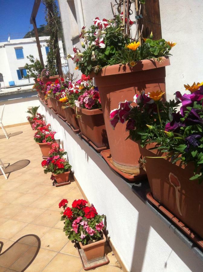 B&B Celestina Ischia Lacco Ameno  Bagian luar foto