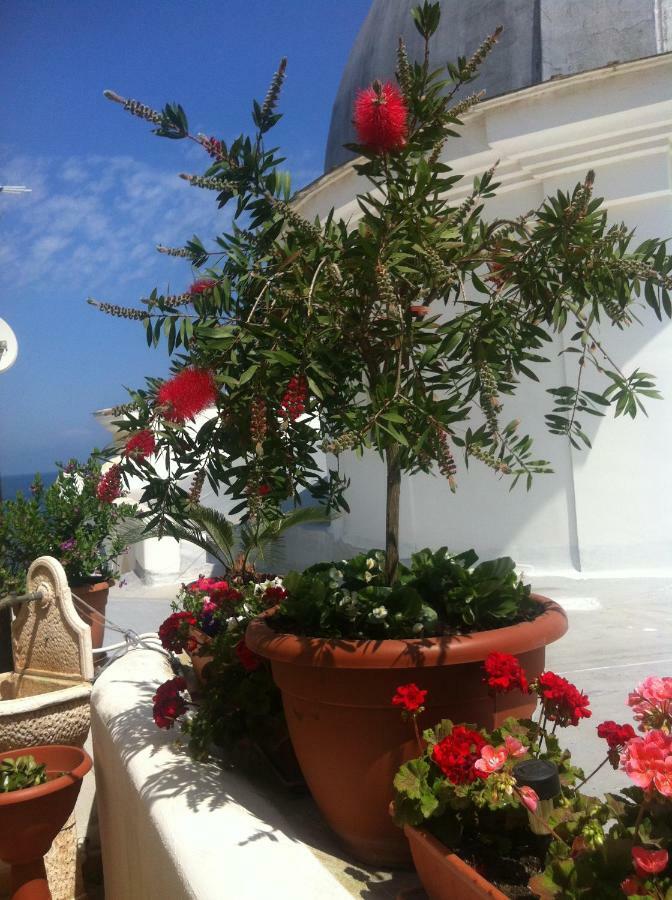 B&B Celestina Ischia Lacco Ameno  Bagian luar foto